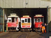 mer080903ty132-tn.jpg