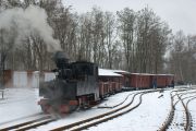 090214lp001-tn.jpg