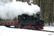 090214lp003-tn.jpg