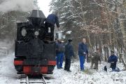 090214lp005-tn.jpg