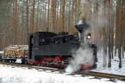 090214lp009-tn.jpg