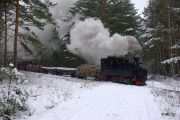 090214lp013-tn.jpg