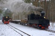 090214lp014-tn.jpg