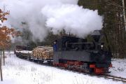 090214lp018-tn.jpg