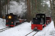 090214lp021-tn.jpg