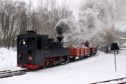 090214lp023-tn.jpg