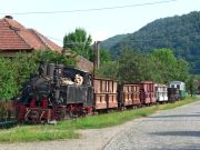 070618ty056-tn.jpg