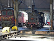 070619ty052-tn.jpg