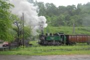 100531mk004-tn.jpg