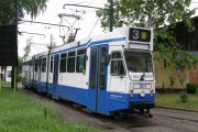 100601ja293-tn.jpg
