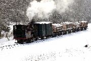 090117mi107-tn.jpg