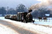 090118mi231-tn.jpg