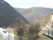 080315xxx007-tn.jpg