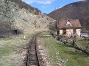 080315xxx008-tn.jpg