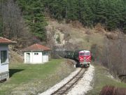 080316xxx013-tn.jpg
