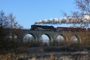 080209mi0963-tn.jpg
