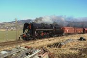 080209mi0978-tn.jpg