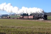 080209mi0981-tn.jpg