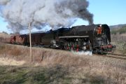 080209mi0997-tn.jpg