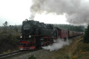 071006mk0485-tn.jpg