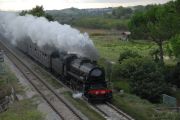 081005mk003-tn.jpg