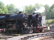 5-tn.jpg