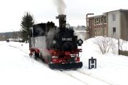100206mi013-tn.jpg