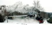 100206mi030-tn.jpg