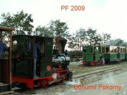 pokorny-tn.jpg
