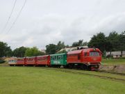 090711mk2009-tn.jpg