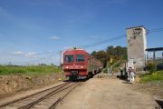 100419mk017-tn.jpg