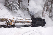 3139-tn.jpg