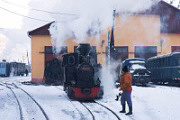 3149-tn.jpg