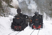 3196-tn.jpg