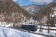 3363-tn.jpg