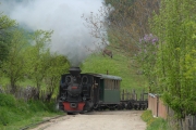 110515mk005-tn.jpg