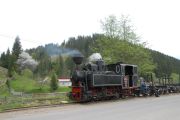 110517mk041-tn.jpg