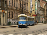 060611ty146-tn.jpg
