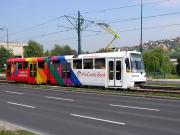 060614ja008-tn.jpg