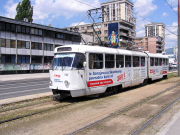 060615ja089-tn.jpg