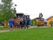060617ty992-tn.jpg