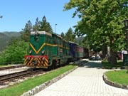 080617ty112-tn.jpg