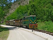 080617ty146-tn.jpg