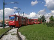080619ja577-tn.jpg