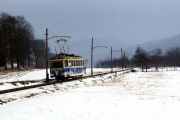 100219mi086-tn.jpg