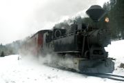 100220mi189-tn.jpg