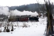 100220mi191-tn.jpg