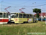 07_040706ty023-tn.jpg