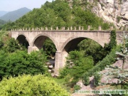 19_040708ty006-tn.jpg
