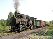 36_040710ty084-tn.jpg